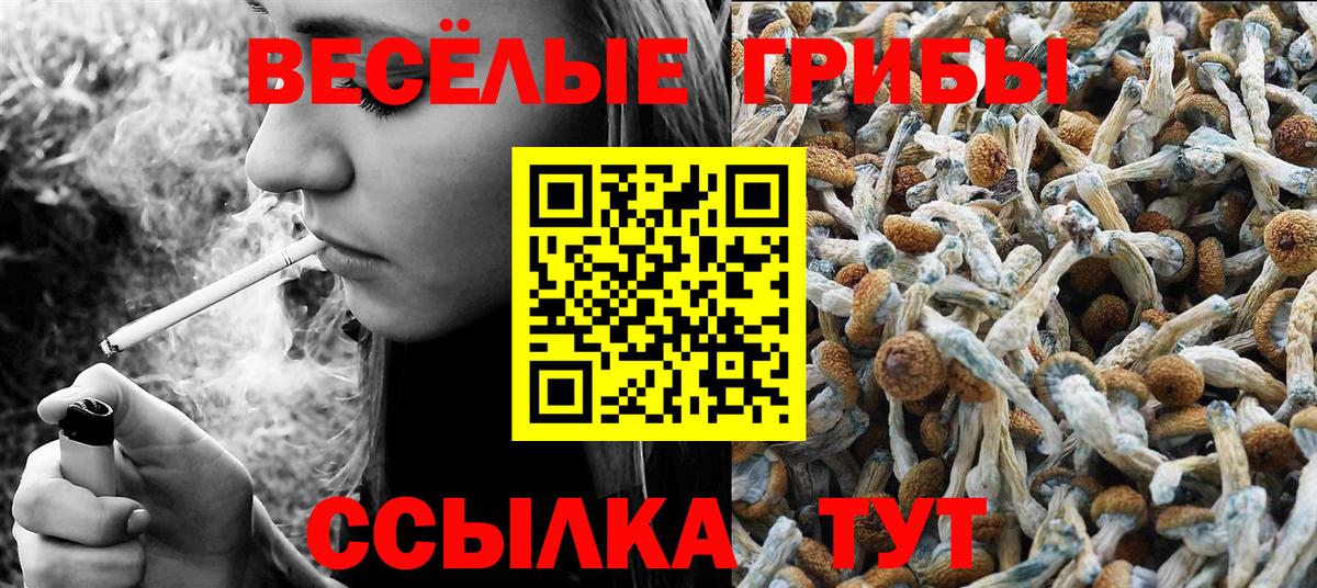 Псилоцибиновые грибы мицелий Пыть-Ях