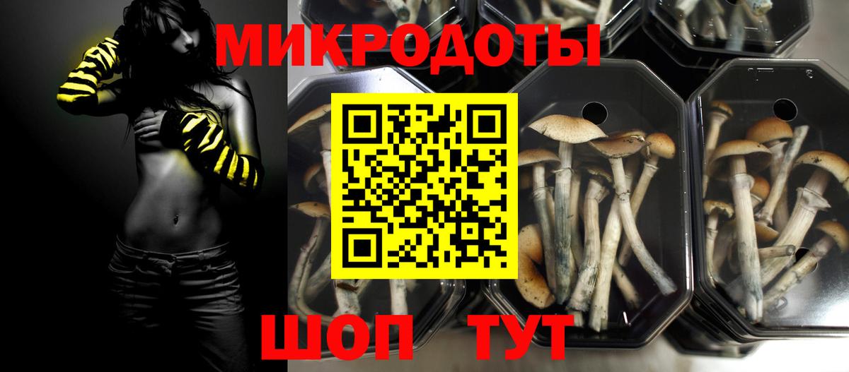 Пыть-Ях  Галлюциногенные грибы мухоморы  Галлюциногенные грибы MAGIC MUSHROOMS  где можно купить   Вход с VPN 